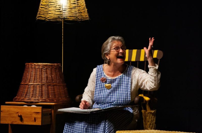 Zagreb - mojzagreb.info - "Pčelica Brujalica" premjerno u Maloj sceni - Nada Rocco i Mladen Klarić vraćaju čaroliju pričanja priča!